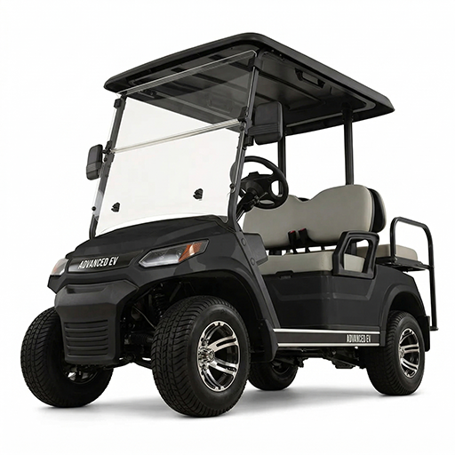 Advanced EV 2 Passenger